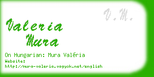 valeria mura business card